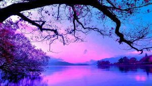 dusk-lake-scenery-wallpapers-hd-2560x1440