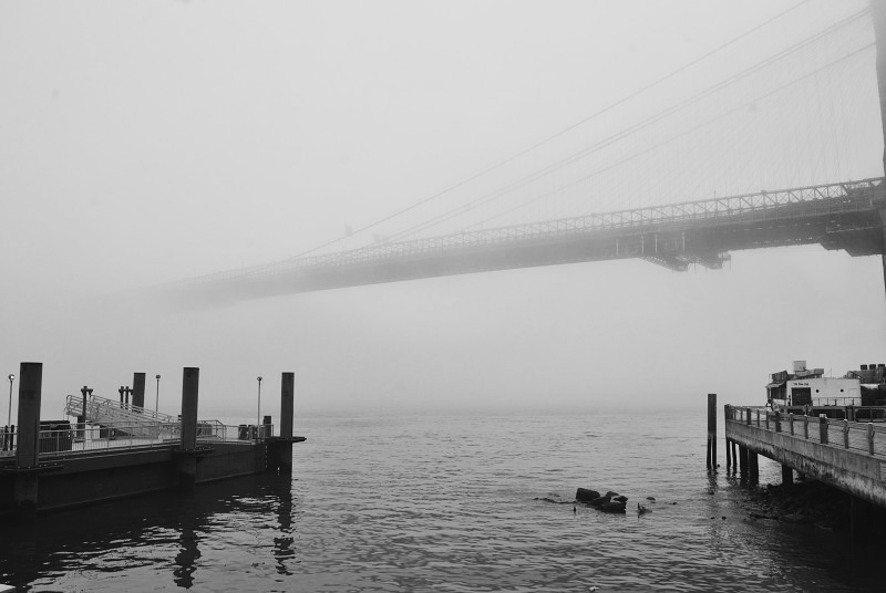 piers in the fog