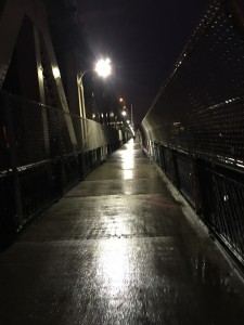 The walking path. Creepy in the dark...