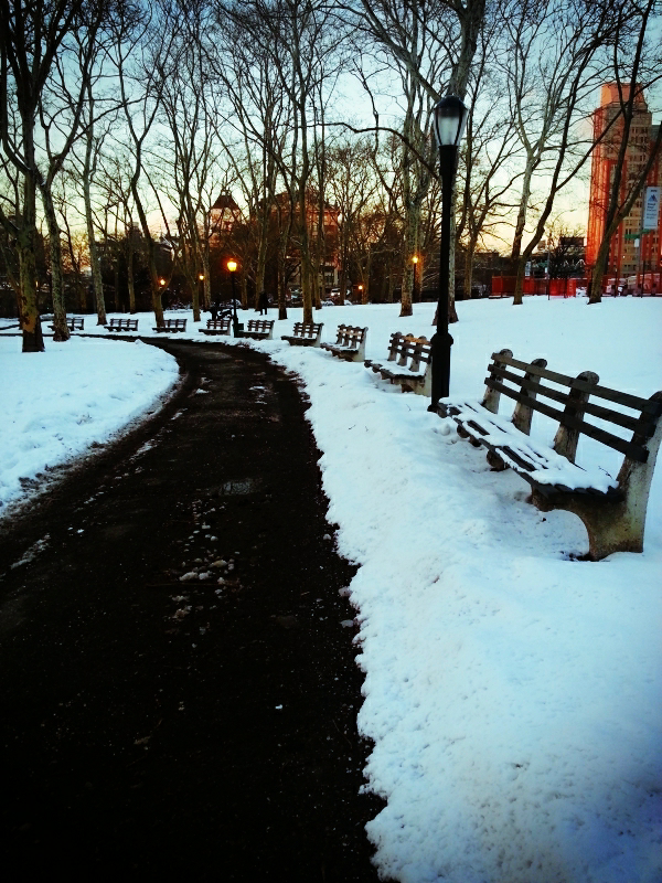 a Snowy Park