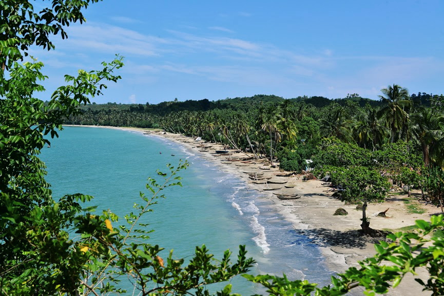 a Caribbean beach