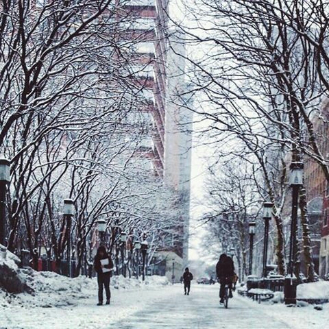 a snowy city street