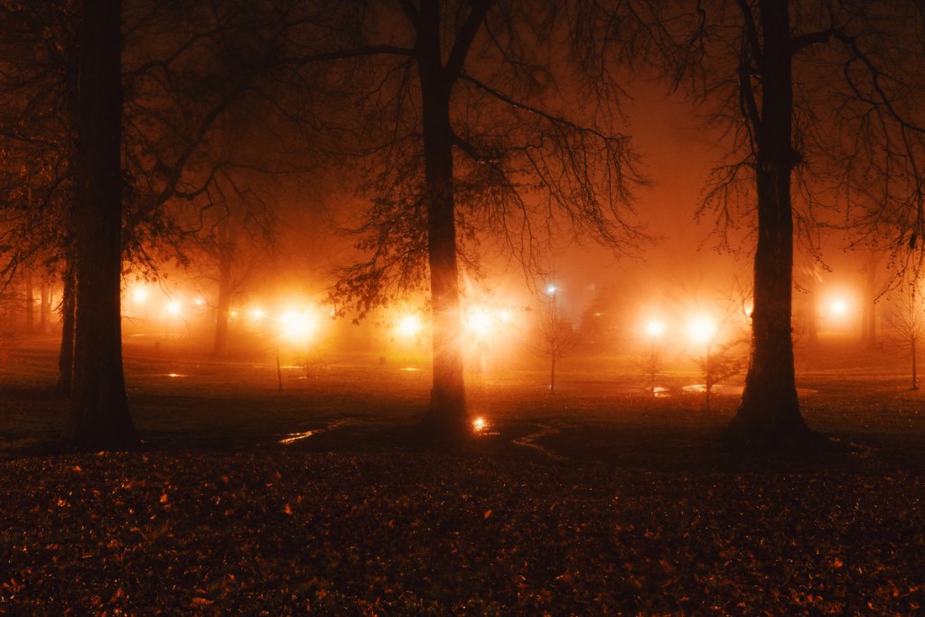a park at night