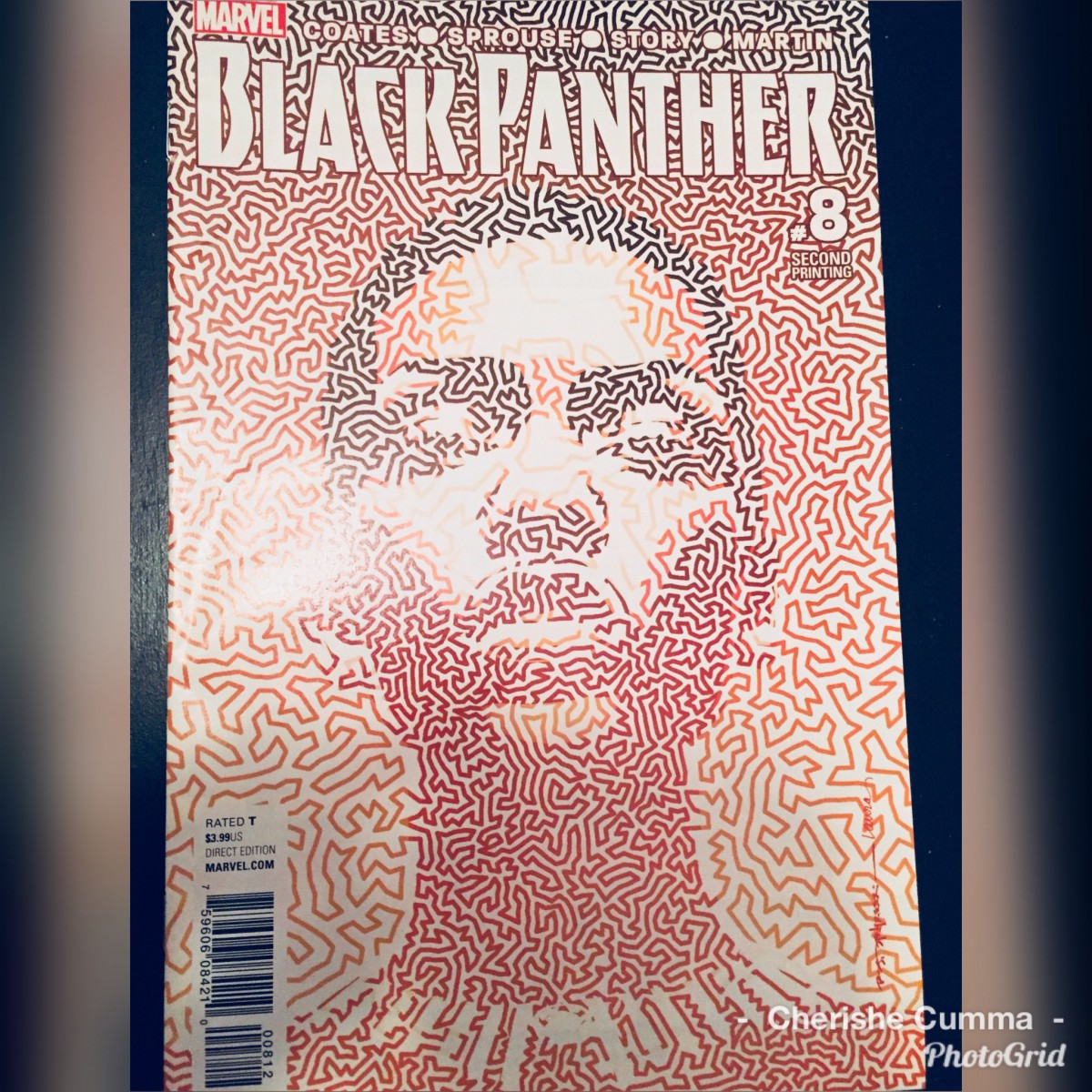 Black Panther download the new version for apple