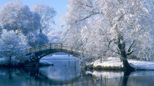 winter-central-park-background-image-free-central-park-hd-wallpapers