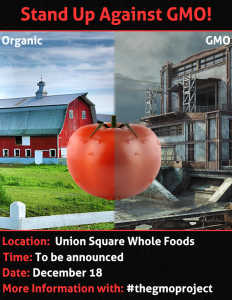 GMO Flyer 2 copy
