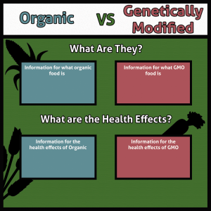 GMO Food Poster copy