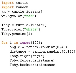 Turtle hw code