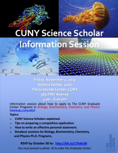 Image: CSS Information Day Flyer