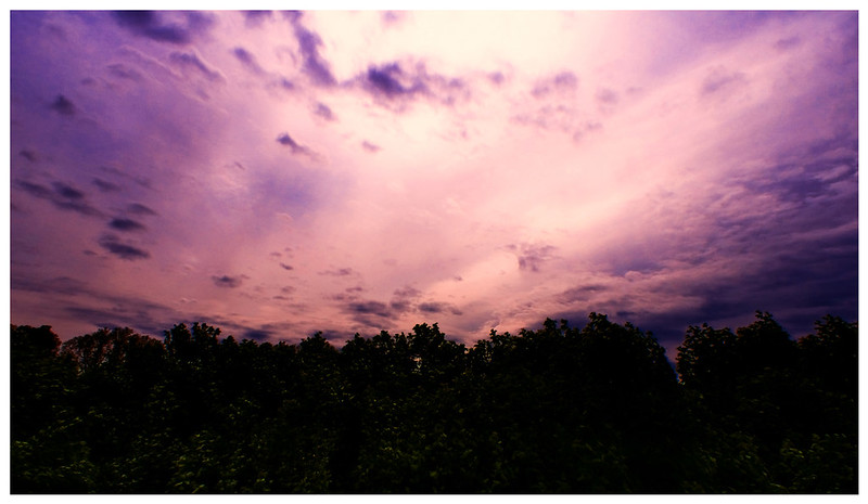 purple sky against a dark ground