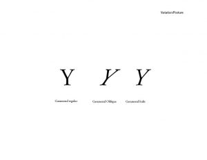 section-3-variation-of-types3