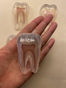 Dental pulp tooth soap favor