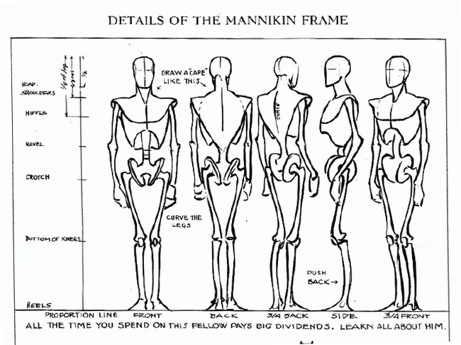Drawing the Human as a Manakin – the Loomis Method | COMD 1231 Figure