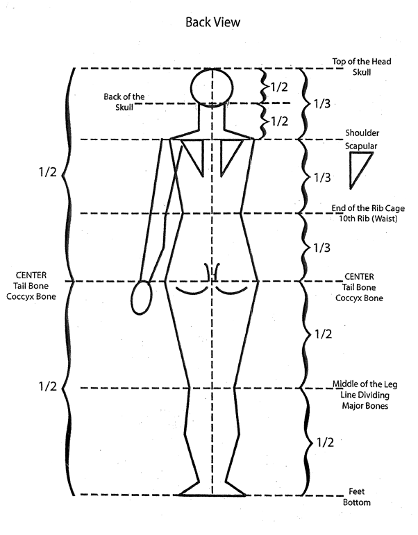 Back-View-Body-Diagram