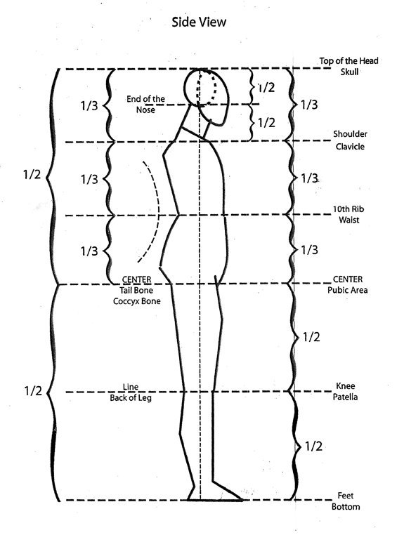 Side-View-Body-Diagram