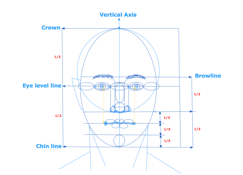 Simplified-Whiteboard-Full-Frontal-Face-Diagram