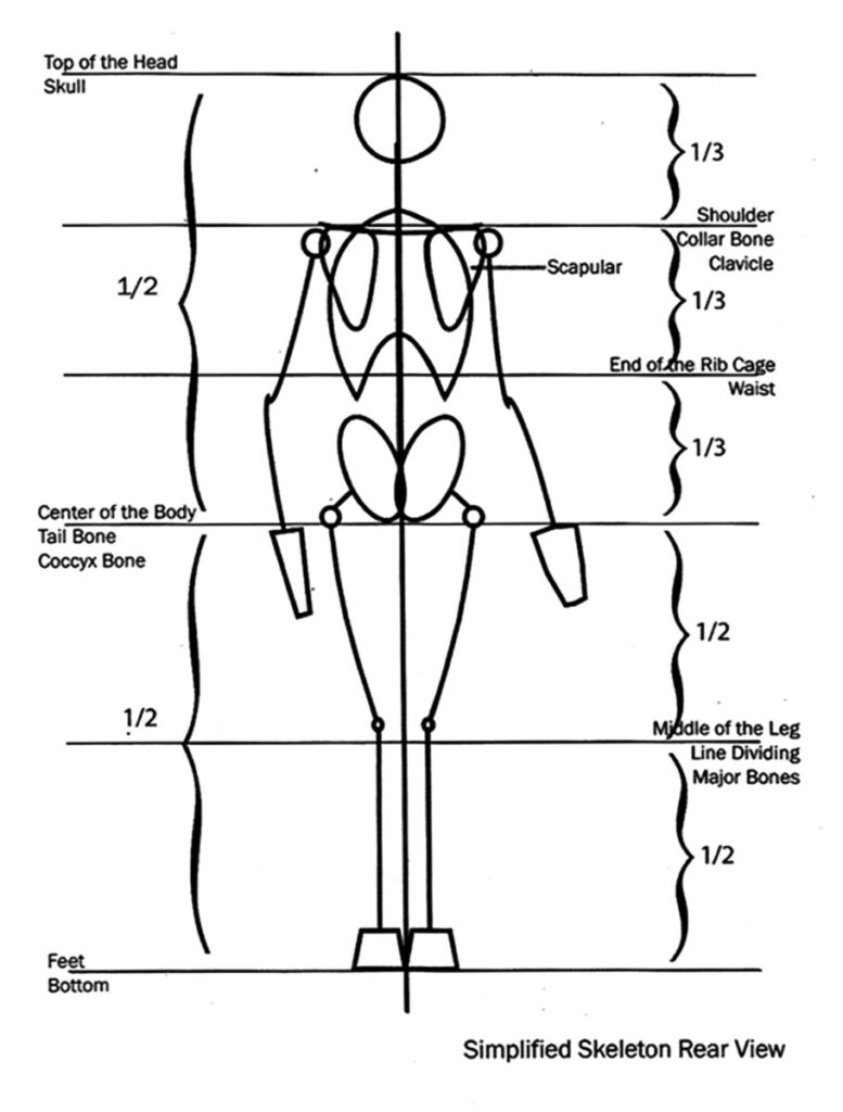 Skeletal-Diagram