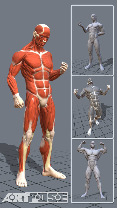 CLASS101+ | Character Art: Anatomy, Expressions, Clothing and More