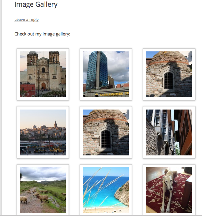 Publish gallery screenshot