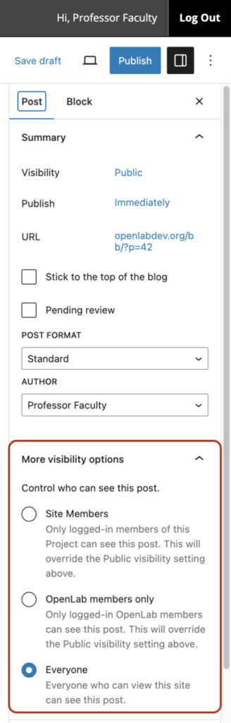 More visibility options section which appears below the summary section of the settings panel.