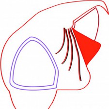 Profile picture of baricade