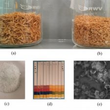 Development of Rice Husk Ash for Advanced Polymer Composites