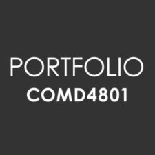 COMD4801Portfolio2022