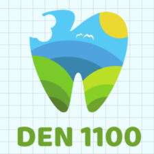 DEN 1100 Fall 2023 – Principles of Dental Hygiene Care I