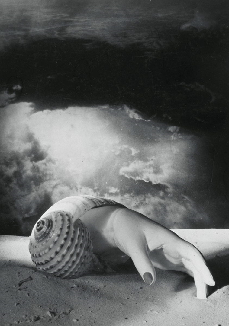 "Untitled (Hand-Shell)", Dora Maar, 1934