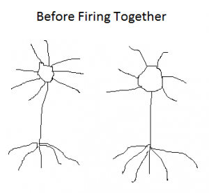 two neurons firing together